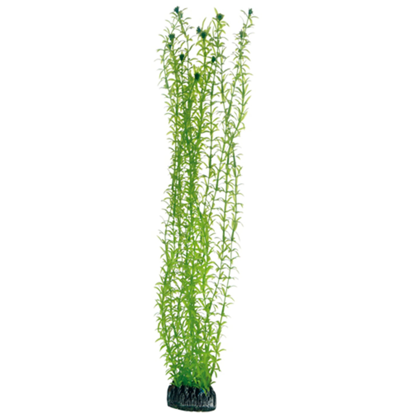 Hobby - Plastväxt Lagarosiphon 60 cm