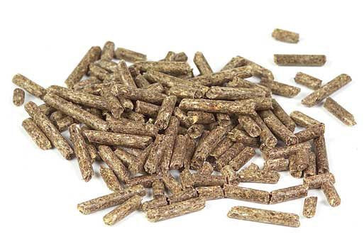 Mästers - Chinchilla pellets 20kg