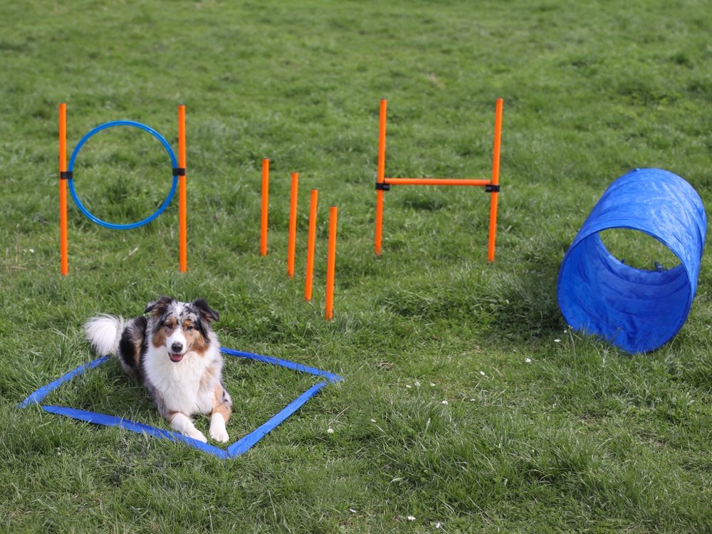 Bruks - Agility Set