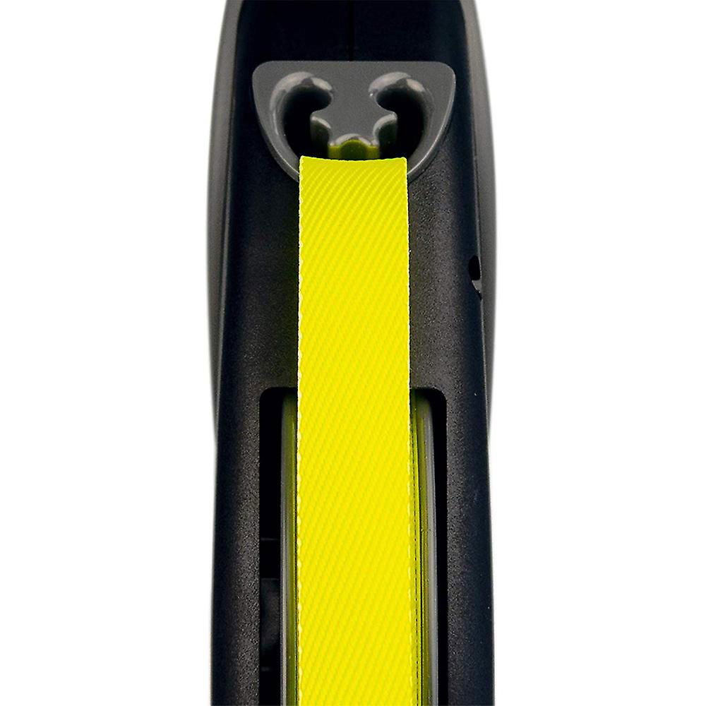 Flexi - Giant 8m