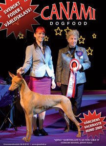 Canami - Hundmat högenergi 15kg