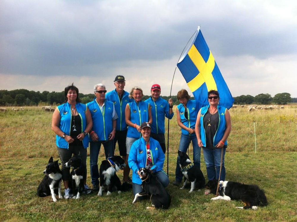 Canami - Hundmat högenergi 15kg