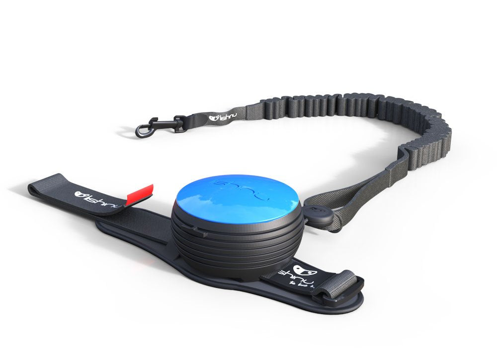 Lishinu bungee - Hundkoppel "Hands-free"