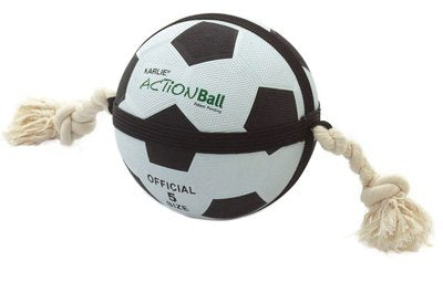 Action ball (Fotboll)