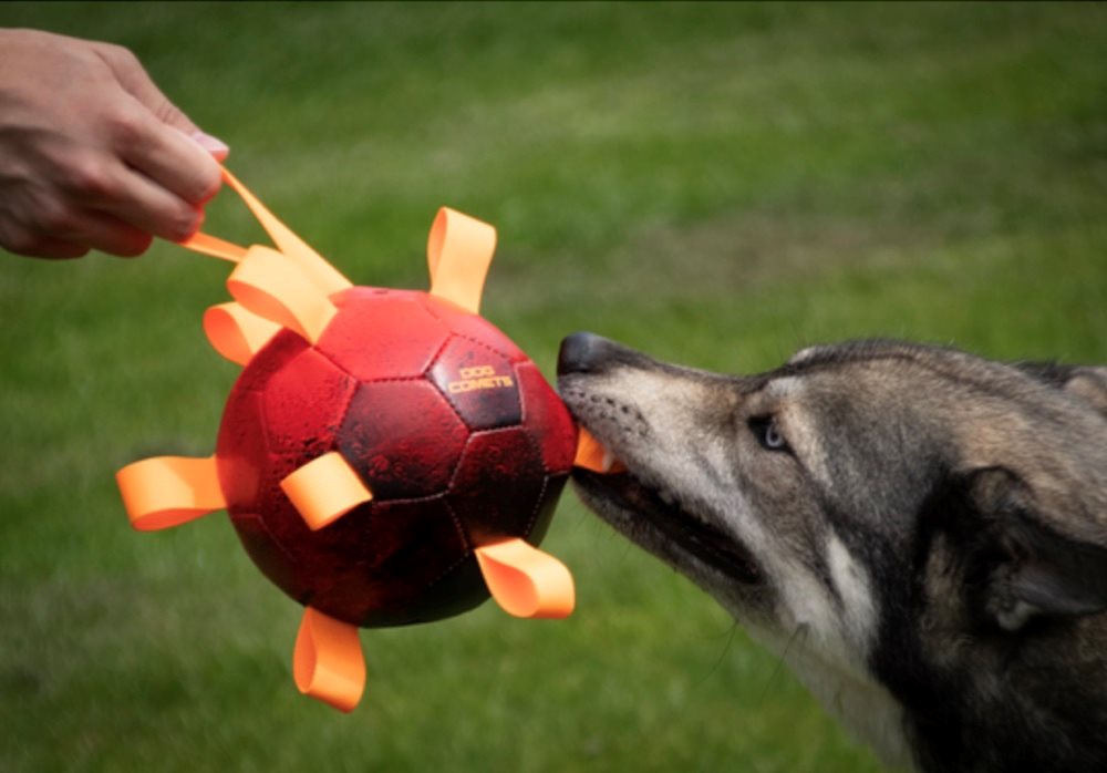 Dog Comets - Hypernova Orange