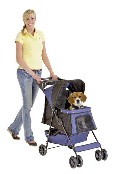 Transport smart buggy med regnskydd