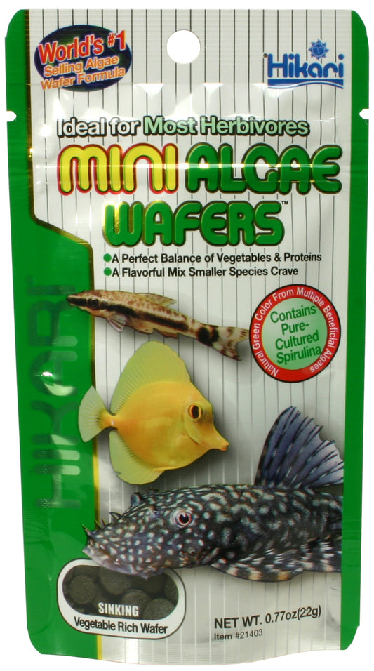 Hikari - Mini-Algae Wafers 22 g