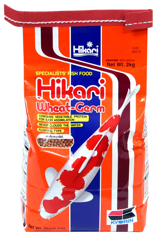 Hikari - Wheat-Germ Medium 2 kg