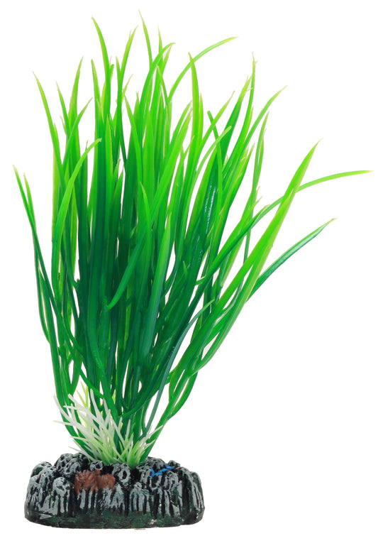 Plastväxt Cyperus Hobby 16cm