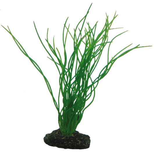 Plastväxt Sagittaria Hobby 20cm