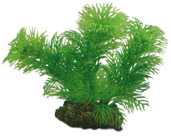 Plastväxt Egeria Hobby 13cm