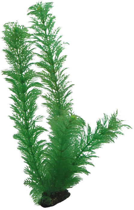 Plastväxt Egeria Hobby 34cm