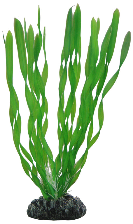 Plastväxt Vallisneria Hobby 20cm