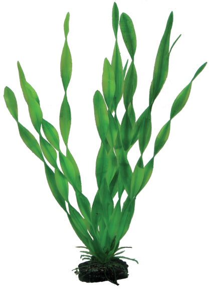 Plastväxt Vallisneria Hobby 34cm