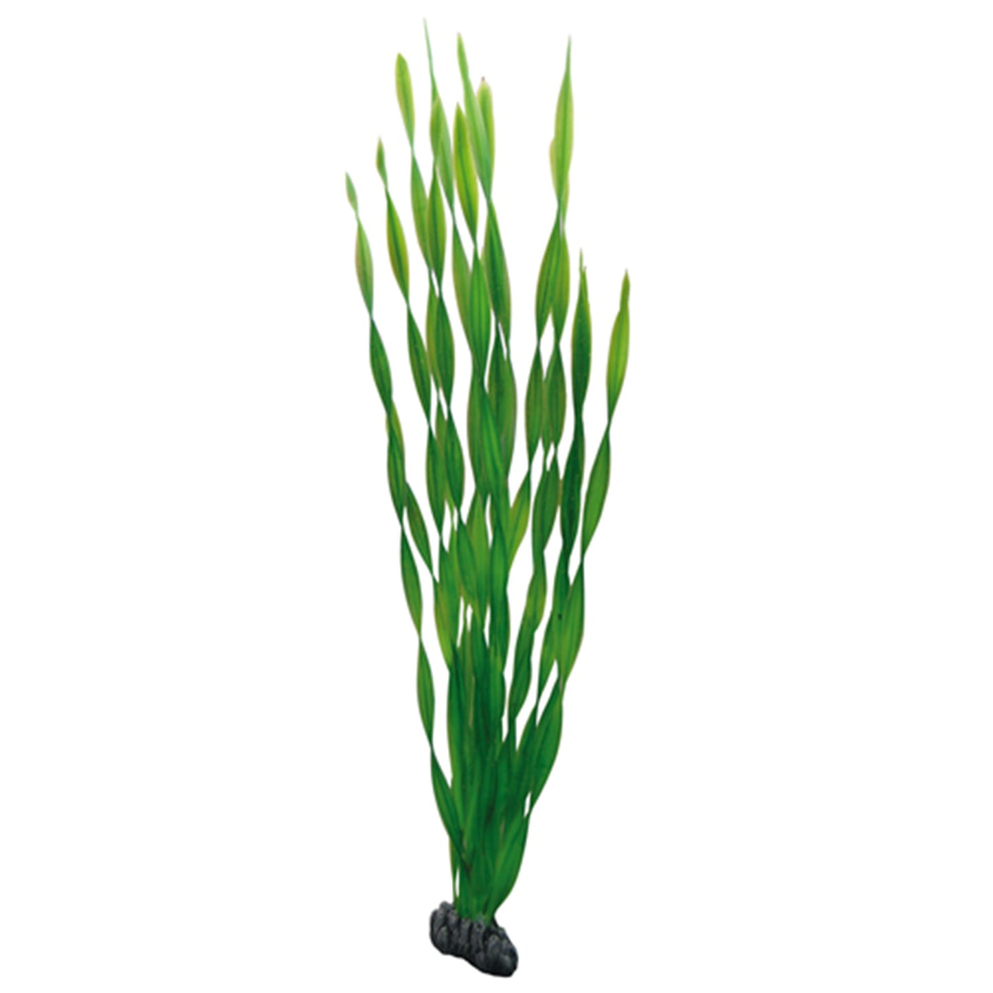 Plastväxt Vallisneria Hobby 60cm