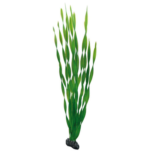 Plastväxt Vallisneria Hobby 60cm
