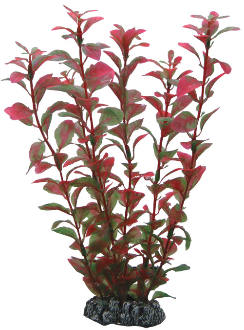 Plastväxt Ludwigia Hobby 25cm