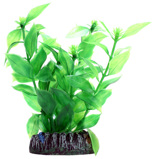 Hobby - Plastväxt Hygrophila 13 cm