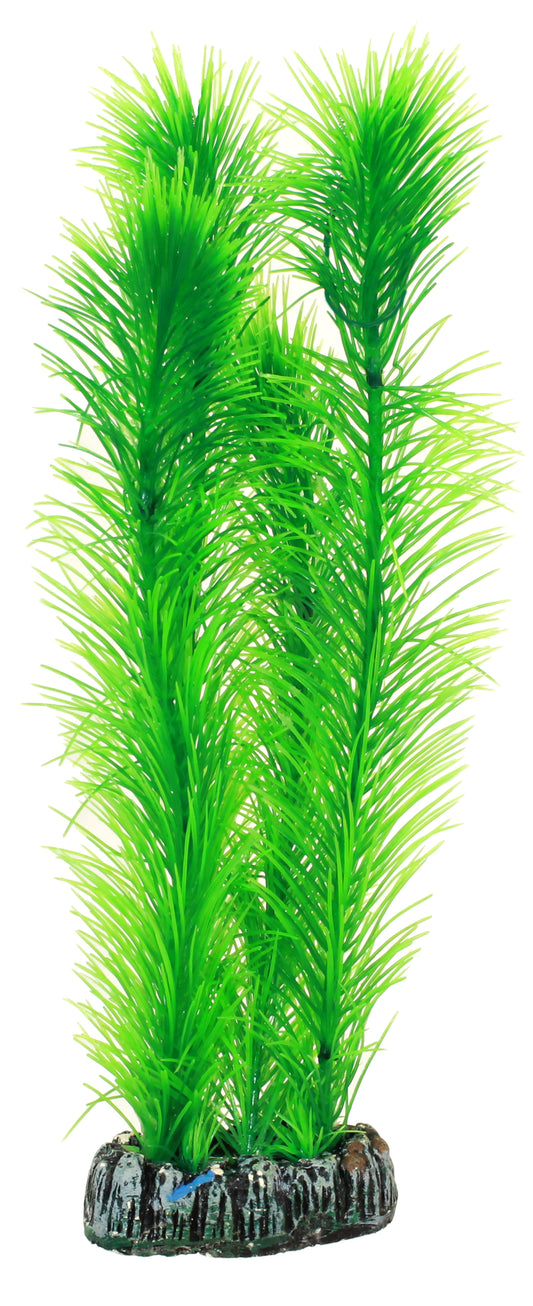 Hobby - Plastväxt Mayaca 25 cm