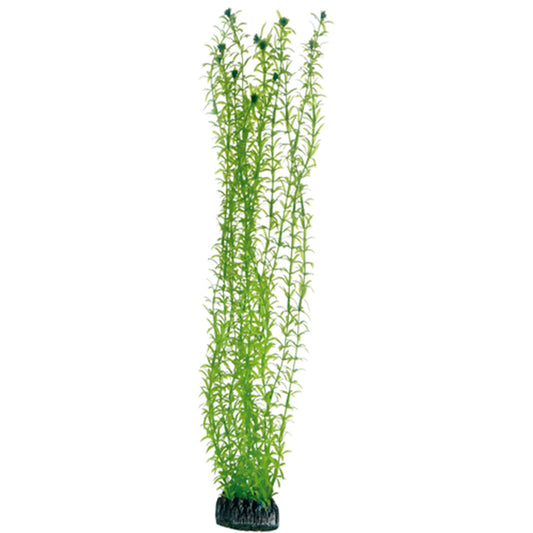 Hobby - Plastväxt Lagarosiphon 60 cm