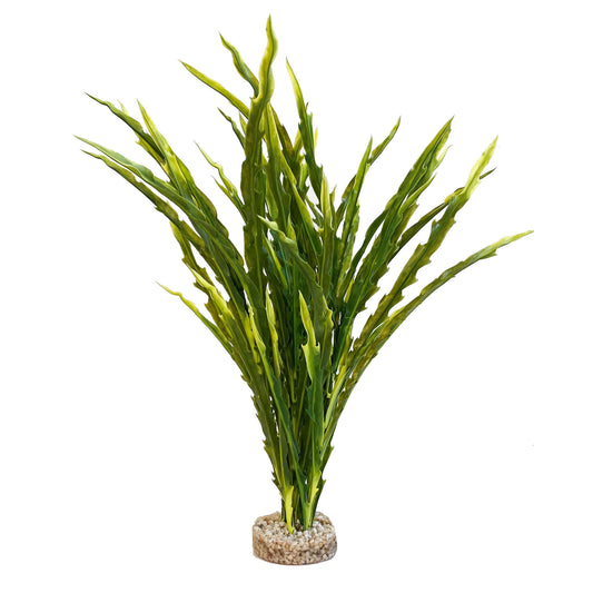 Sydeco - Plastväxt Majestic Ocean Plant c.a 30 cm