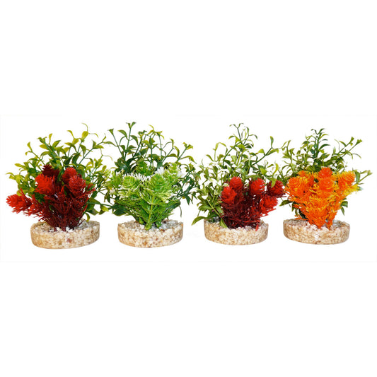 Sydeco - Plastväxt Magic Nano Garden 10 cm