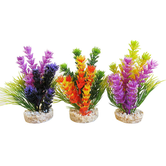 Sydeco - Plastväxt Magic Fiesta Colours 16 cm