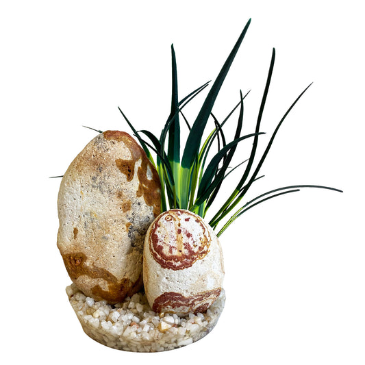 Sydeco - Plastväxt Rainbow Stone Plant 15 cm