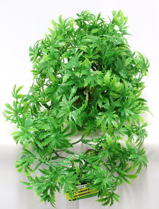 Sydeco Plastväxt Florida Vivarium 30x18 cm