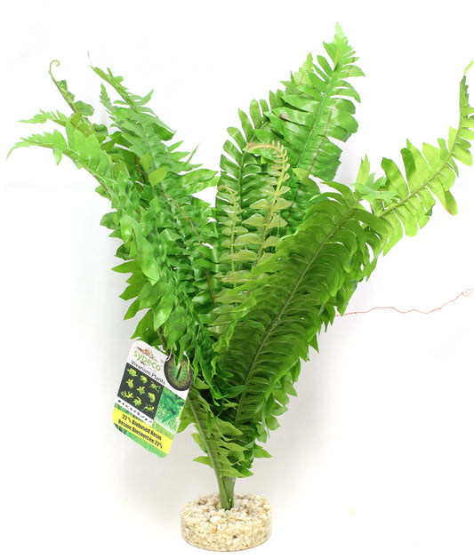 Sydeco Plastväxt Fougere Vivarium 38 cm