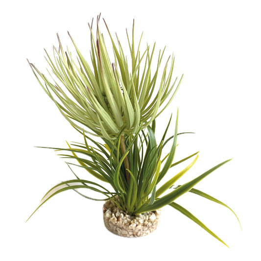 Sydeco - Plastväxt Terra Grass Vivarium 23 cm