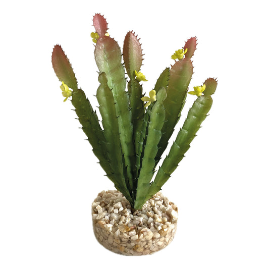 Sydeco - Plastväxt Terra Cactus Flower Vivarium 17 cm