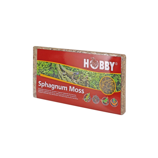 Sphagnum Mossa Hobby 100 g