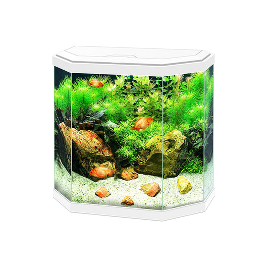 Ciano - Akvarium Vitt Aqua 30