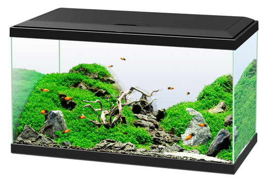 Ciano - Akvarium Svart Aquarium 60