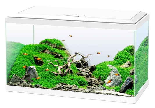 Ciano - Akvarium Vitt Aquarium 60