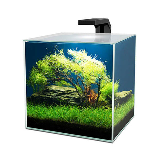Ciano - Akvarium Cube 15 Clear