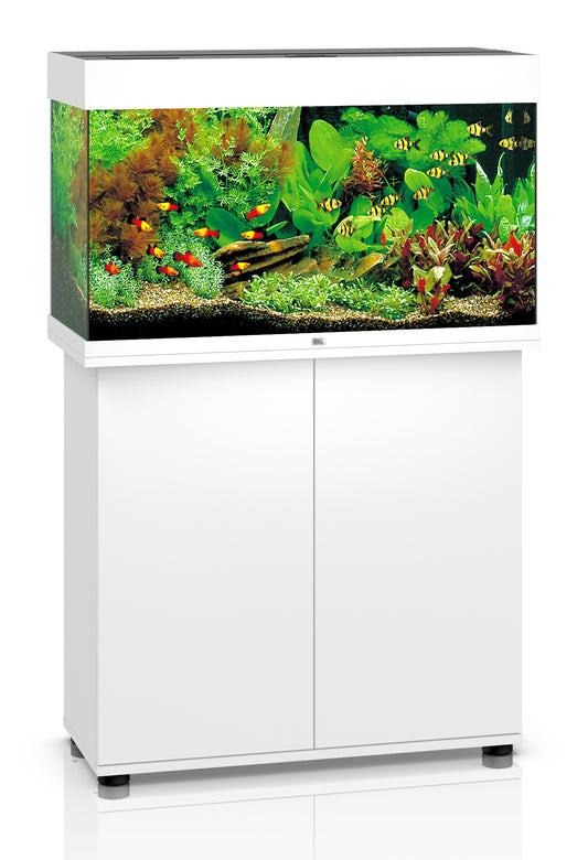 Juwel - Akvarium Vitt Rio 125 inkl LED