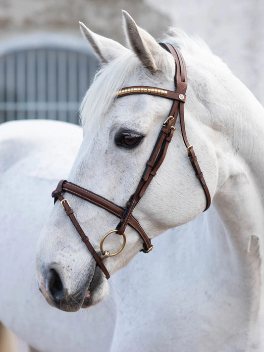 Jacson - California Aachen Bridle