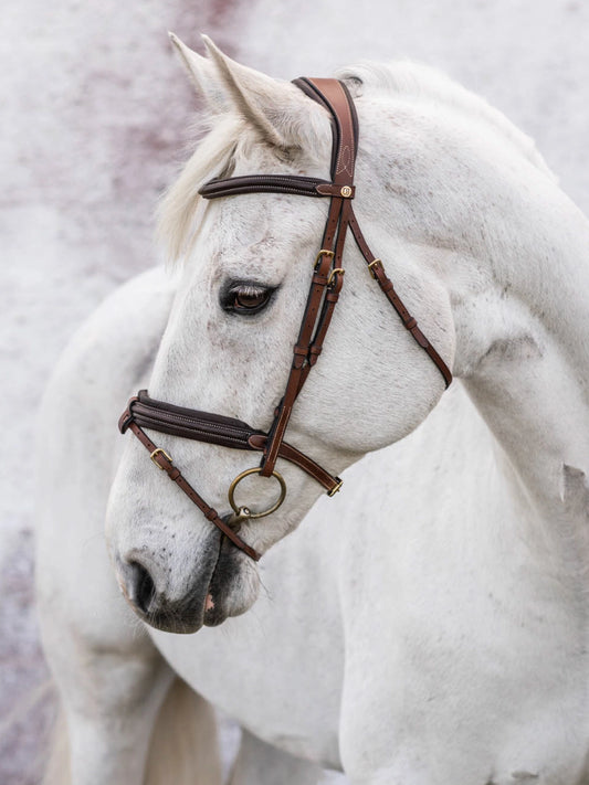 Jacson - London Bridle