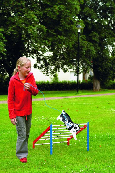 Karlie - Kaninhoppning hinder
