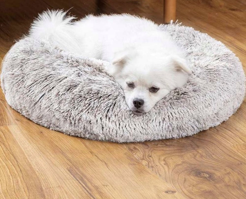 Hundsäng fluffig