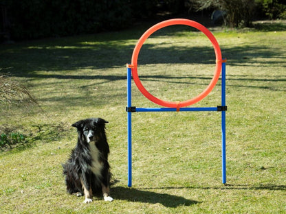Bruks - Agility ring