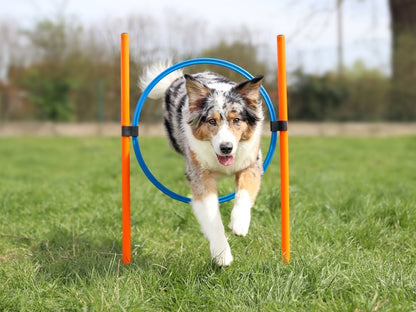 Bruks - Agility Set