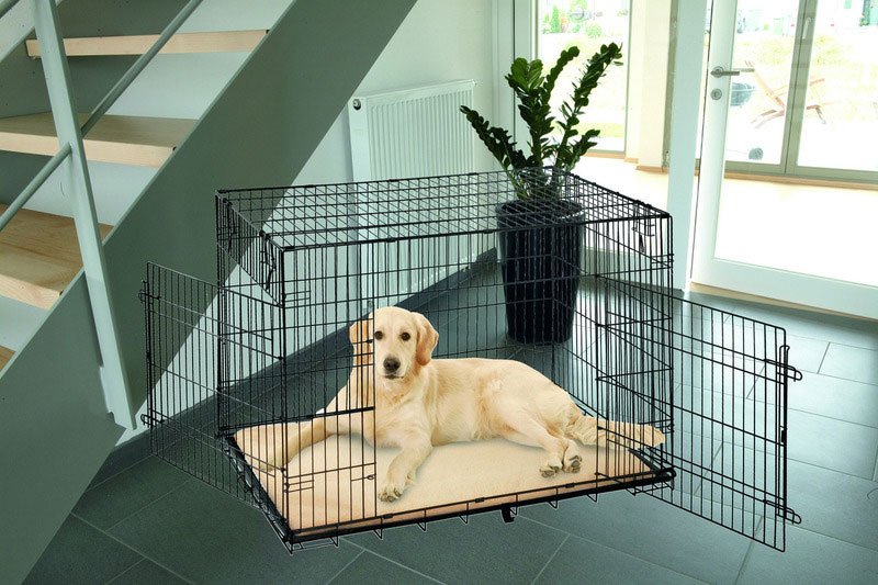 Anti-Slip - Fäll till hundbur