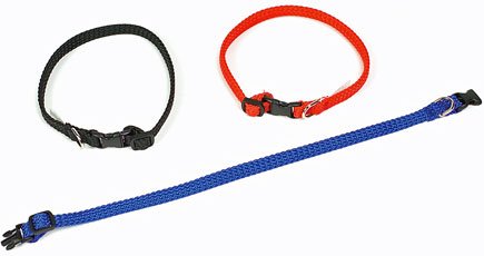 Valphalsband med snabbspänne