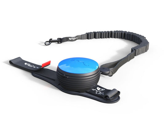 Lishinu bungee - Hundkoppel "Hands-free"