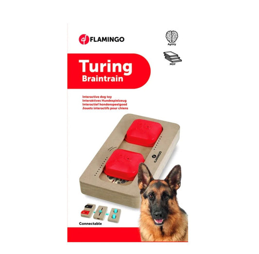Flamingo - Turing