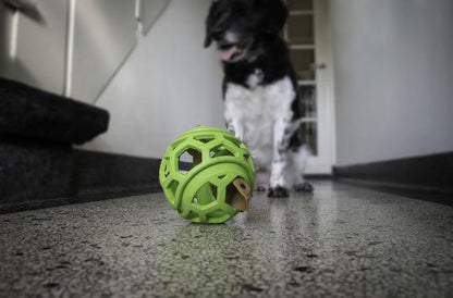 Dog Comets - Titan