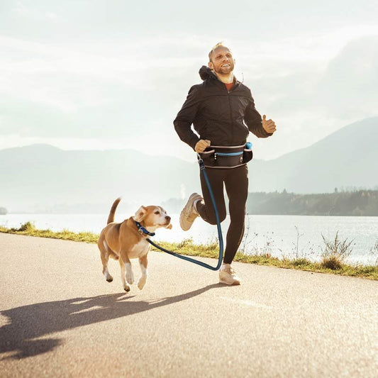 Duvo Plus - Joggingbälte
